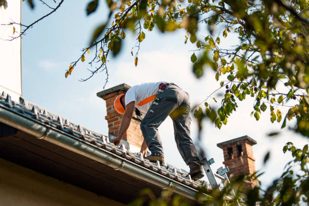 Best Chimney Flashing Repair  in Mount Ivy, NY