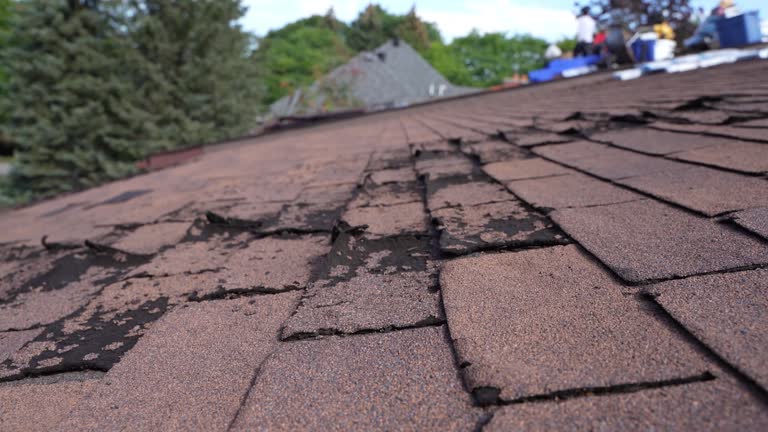 Best Roof Coating and Sealing  in Mount Ivy, NY