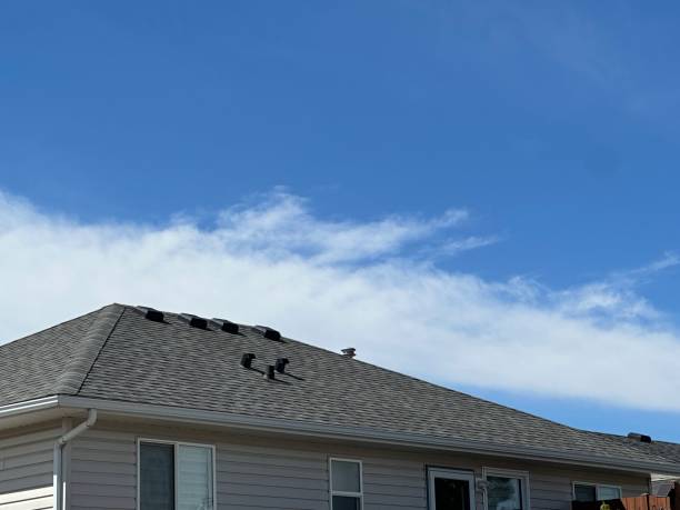 Best Roof Maintenance and Cleaning  in Mount Ivy, NY
